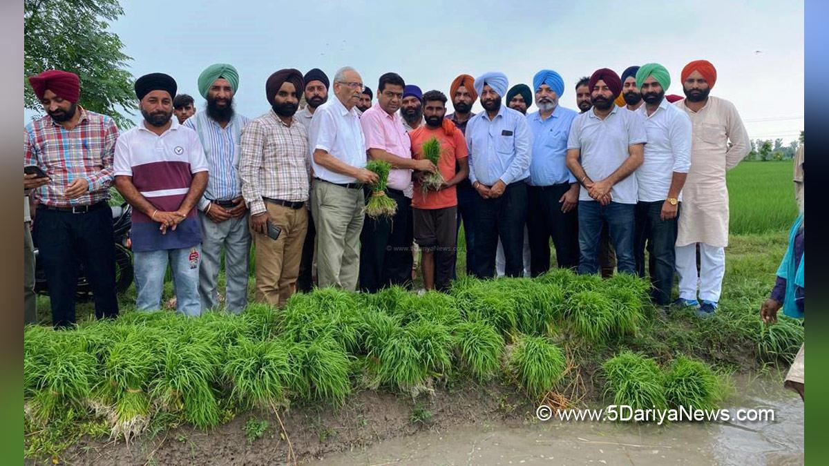 DC Amritsar, Amritsar, Amit Talwar, Deputy Commissioner Amritsar