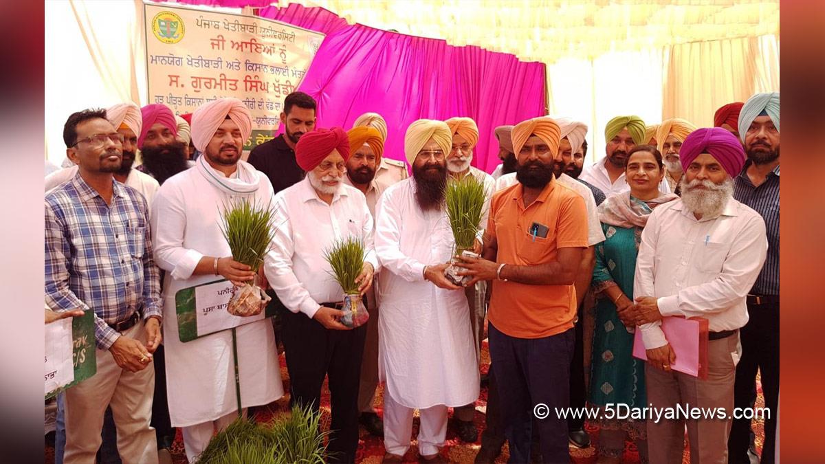 Gurmeet Khudian, Gurmeet Singh Khudian, AAP, Aam Aadmi Party, Aam Aadmi Party Punjab, AAP Punjab, Gurdev Singh Dev Maan, Jassi Sohian Wala