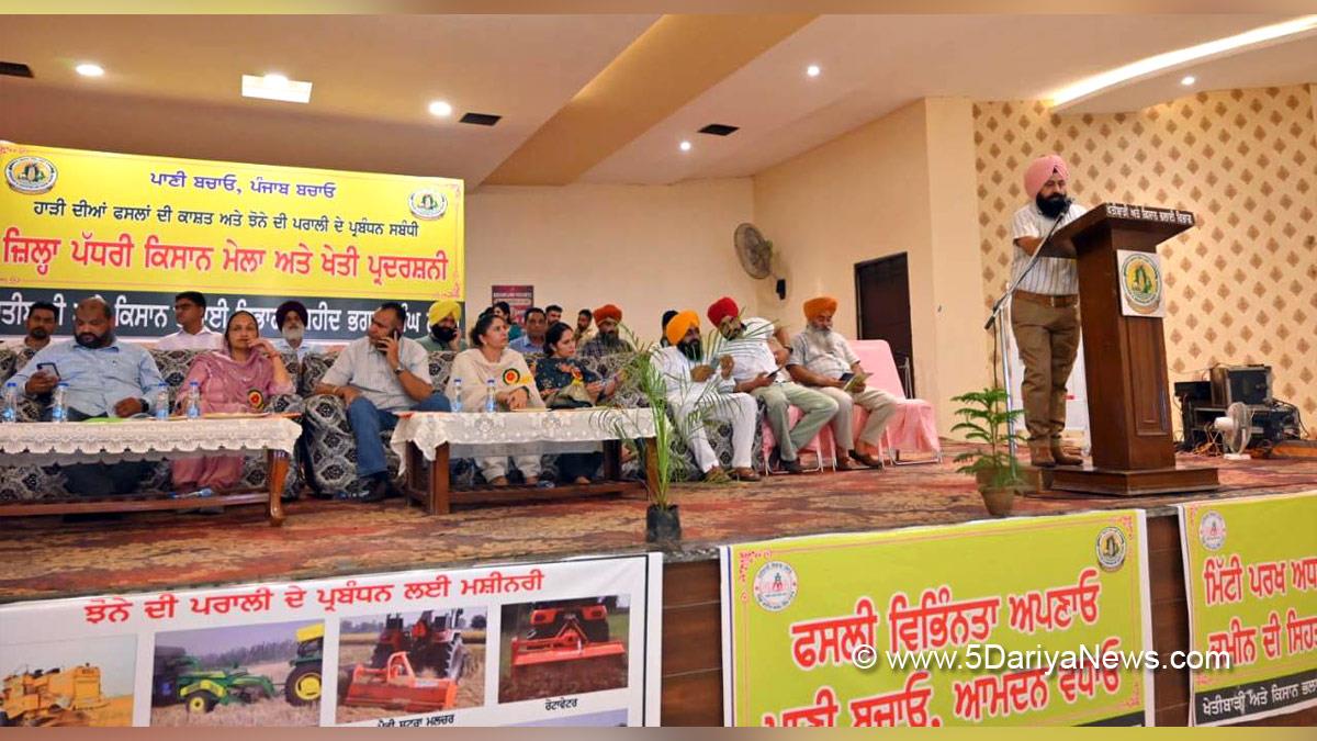 Santosh Kumari Kataria, Balachaur, AAP, Aam Aadmi Party, Aam Aadmi Party Punjab, AAP Punjab
