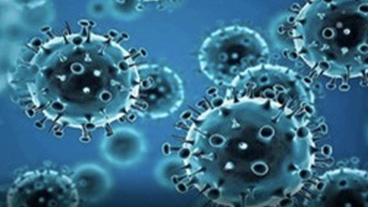 Omicron Variant, Delta Plus Covid variant, Delta Covid-19 variant, Coronavirus, COVID 19, Novel Coronavirus, Fight Against Corona, Covaxin, Covishield, Covid-19 Vaccine, Oxygen, Oxygen Cylinders, SARS-CoV-2, Sputnik V, Oxygen Plants, Pfizer, Astra Zeneca, Oxygen Concentrator, Remdesivir, Covifor, Oximeter