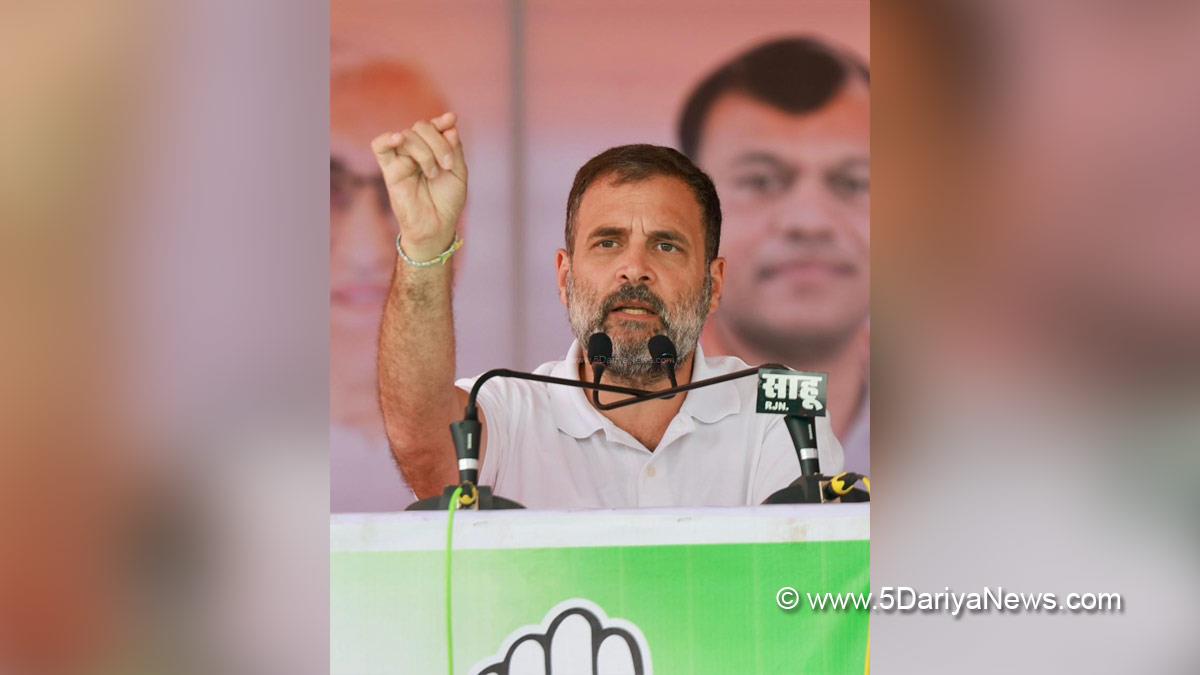 Rahul Gandhi, Indian National Congress, Congress, All India Congress Committee, Rahul Gandhi News, Rahul Gandhi Latest News
