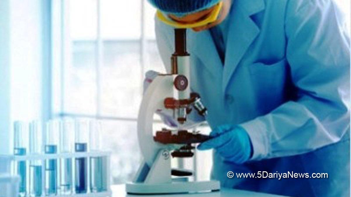 Health, Study, New York, Research, Researchers, World News, Dengue, Dengue Fever, Dengue Fever After Effects, Dengue Fever Effects On Body, Dengue Fever Effects On Immune System