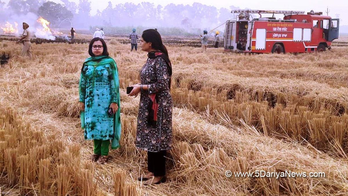 DC Ludhiana, Surabhi Malik, Ludhiana, Deputy Commissioner Ludhiana, Stubble burning