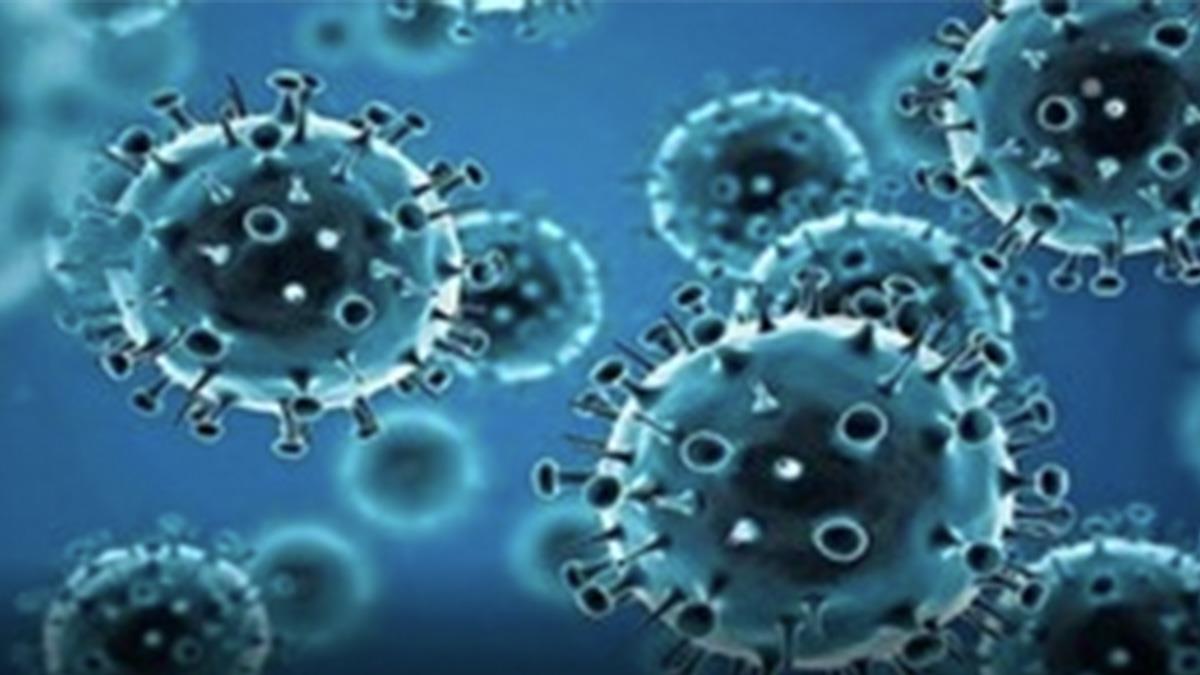 Omicron Variant, Delta Plus Covid variant, Delta Covid-19 variant, Coronavirus, Health, Research, Study, Researchers, COVID 19, Novel Coronavirus, Fight Against Corona, Covaxin, Covishield, Oxygen, SARS-CoV-2, Sputnik V, Oxygen Plants, Pfizer, Astra Zeneca, Oxygen Concentrator, Remdesivir, Liquid Medical Oxygen, Oximeter
