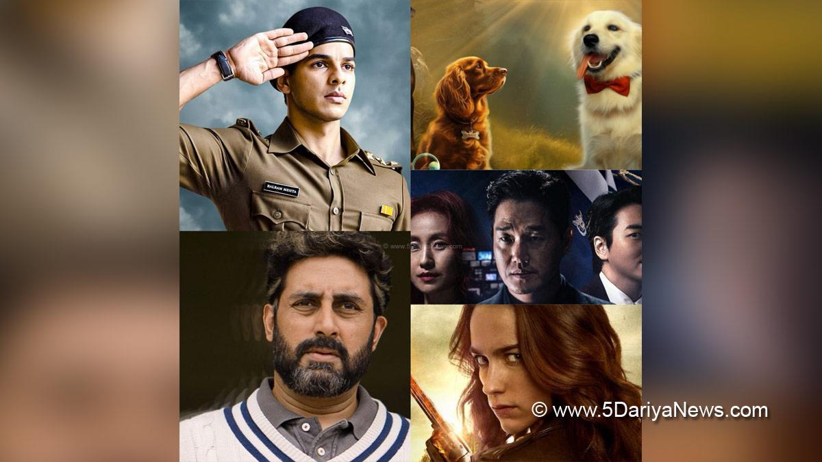 Bollywood, Hollywood, Ott, OTT Releases Of November 2023, Ott Releases This Week, OTT Releases, OTT Releases Weekend, Latest OTT Releases, Bollywood OTT Releases, OTT Releases This Weekend, OTT Releases This Weekend Bollywood, OTT Releases This Weekend Hind , Bollywood OTT Releases This Weekend, Valatty, Vigilante, Pippa, Ghoomer, Wynonna season 1