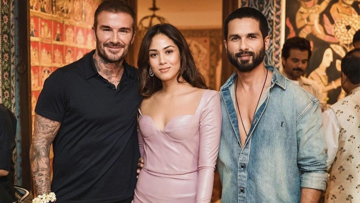 Bollywood, Entertainment, Mumbai, Actor, Actress, Cinema, Hindi Films, Movie, Mumbai News, Shahid Kapoor, Shahid Kapoor David Becham, Shahid Kapoor Wife, Shahid Kapoor Mira Kapoor