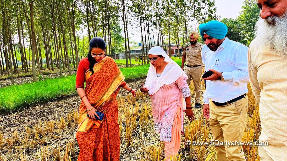 DC Ropar, Preeti Yadav, Dr. Preeti Yadav, Deputy Commissioner Ropar, Rupnagar, Ropar