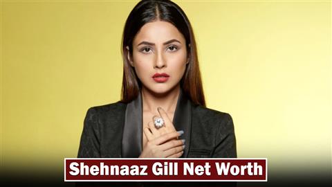 Shehnaaz Gill Net Worth