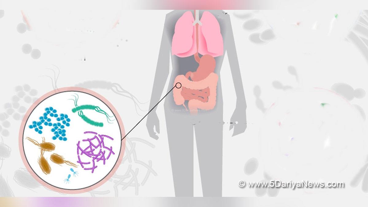 Stomach Flu
