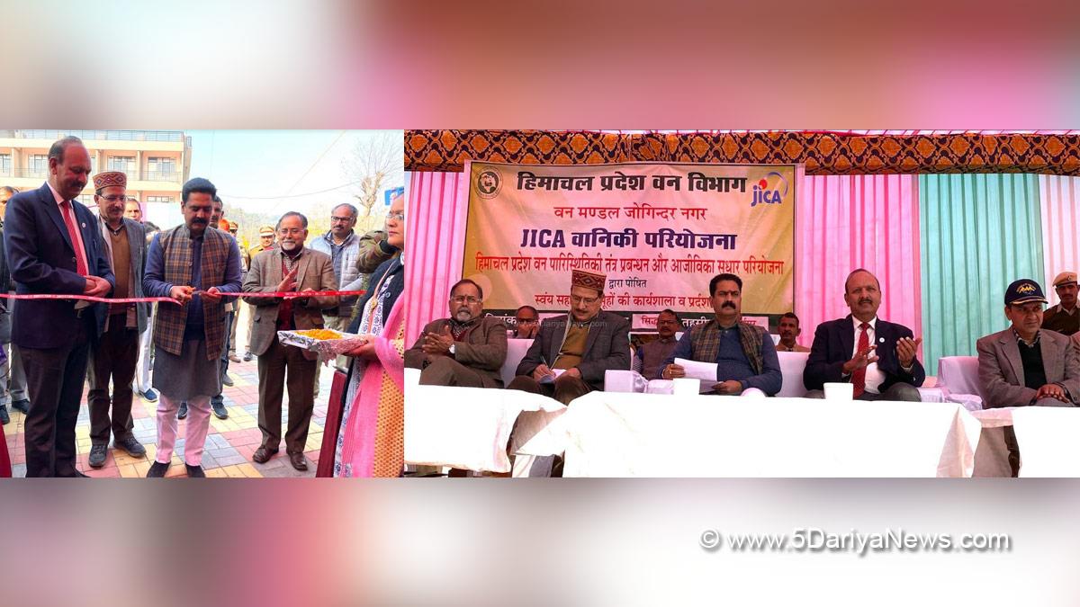 JICA Forestry Project