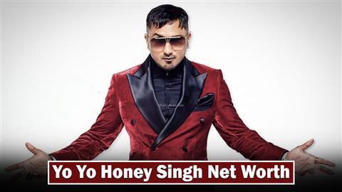 Yo Yo Honey Singh Net Worth