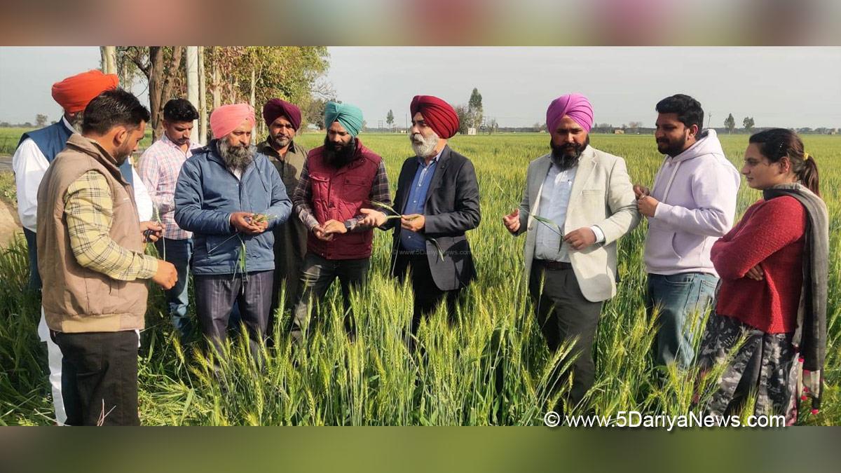Agriculture, Dr. Amrik Singh, Chief Agriculture Officer, Faridkot