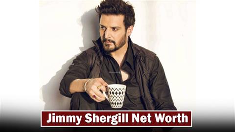 Jimmy Shergill Net Worth