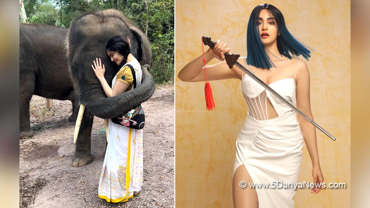 Adah Sharma, Bollywood, Entertainment, Mumbai, Actor, Cinema, Hindi Films, Movie, Mumbai News