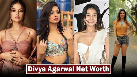 Divya Agarwal Net Worth