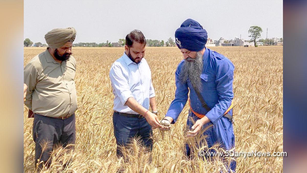 Rajesh Dhiman, DC Ferozepur, Deputy Commissioner Ferozepur, Ferozepur