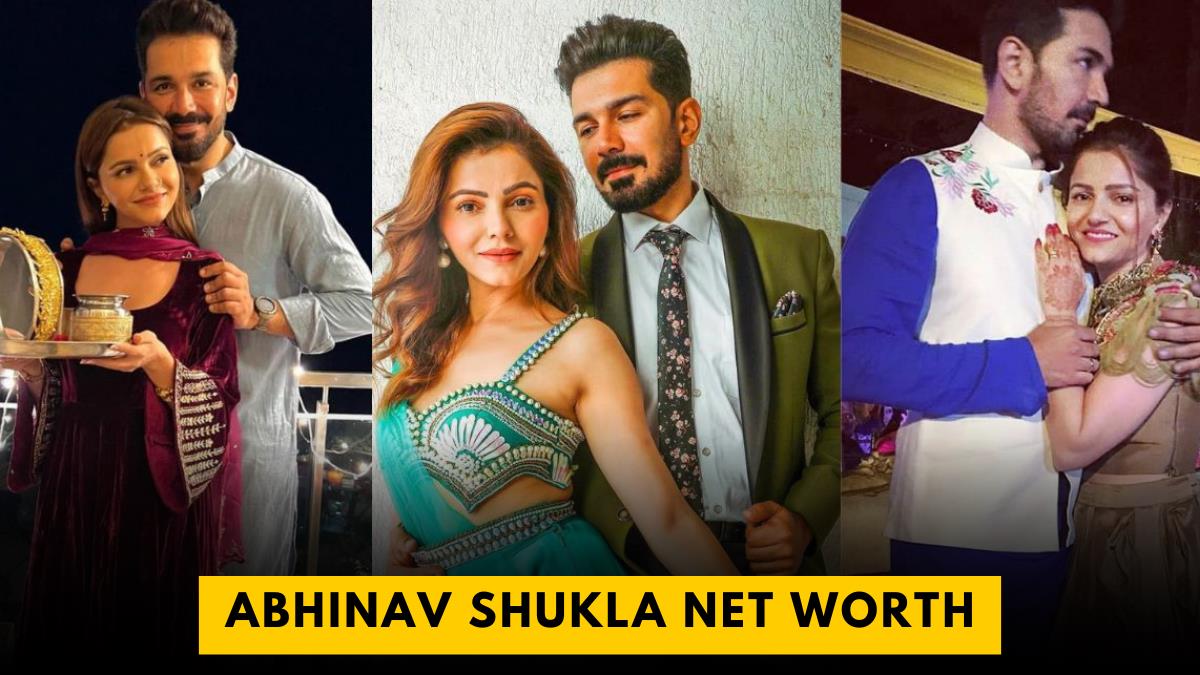 Abhinav Shukla Net Worth