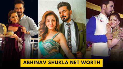 Abhinav Shukla Net Worth