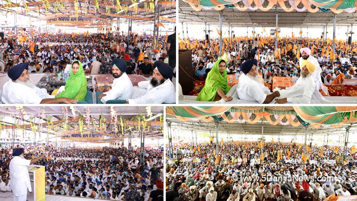 Sukhbir Singh Badal, Shiromani Akali Dal, SAD, Akali Dal , Bikram Singh Majithia, Harsimrat Kaur Badal, Lok Sabha Elections 2024, General Elections 2024, Lok Sabha Election, Lok Sabha 2024