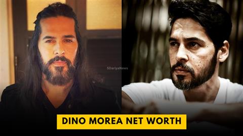 Dino Morea Net Worth