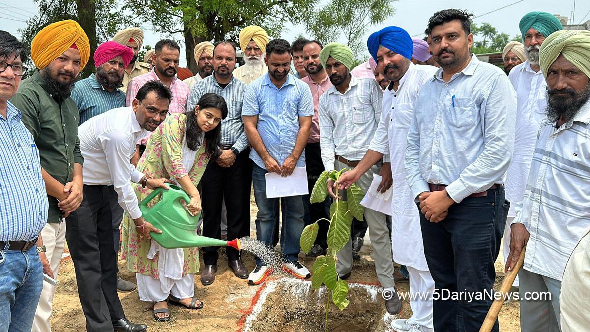 Tree Plantation, Forest Plantation, Plantation forestry, Tree Planting, Tree Plantation Drive, Plants Sapling, Tree Plantation Drive 2024, Nabha