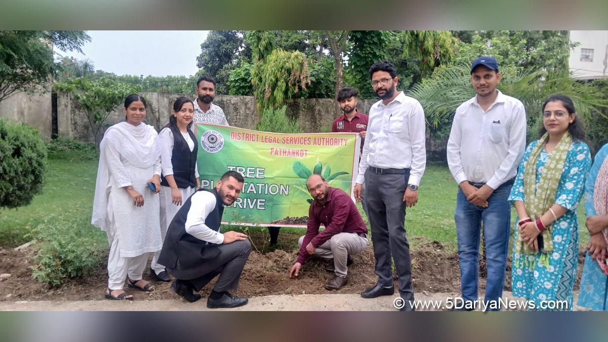 Tree Plantation, Forest Plantation, Plantation forestry, Tree Planting, Tree Plantation Drive, Plants Sapling, Tree Plantation Drive 2024