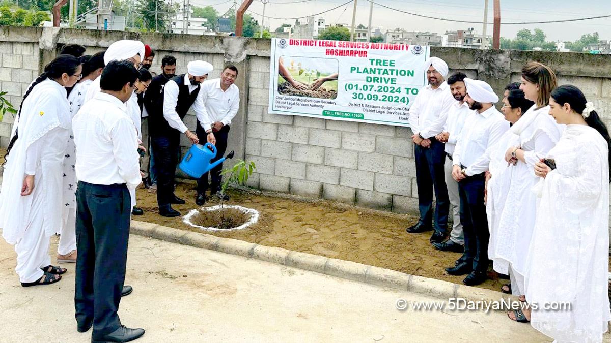 Judiciary, Tree Plantation, Forest Plantation, Plantation forestry, Tree Planting, Tree Plantation Drive, Plants Sapling, Tree Plantation Drive 2024, Hoshiarpur