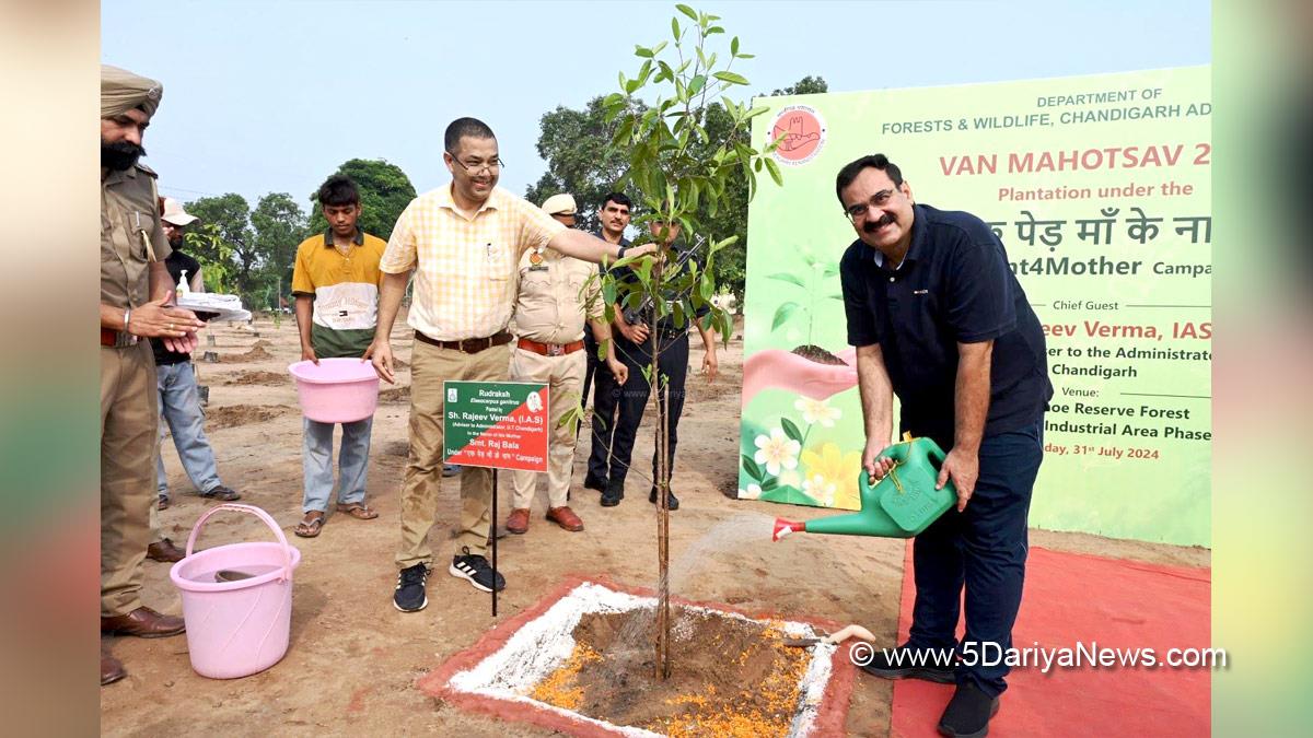 Rajeev Verma, Adviser Rajeev Verma, UT Chandigarh, Chandigarh, Tree Plantation, Forest Plantation, Plantation forestry, Tree Planting, Tree Plantation Drive, Plants Sapling, Tree Plantation Drive 2024