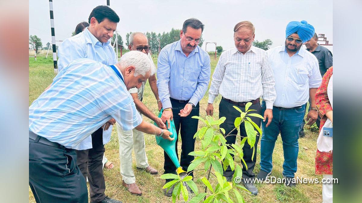 Rayat Bahra University, Rayat Bahra Group of Institutions, RBGI, Gurvinder Singh Bahra, Tree Plantation, Forest Plantation, Plantation forestry, Tree Planting, Tree Plantation Drive, Plants Sapling, Tree Plantation Drive 2024