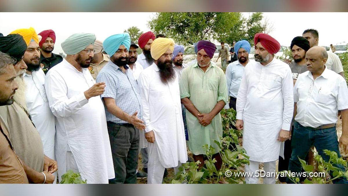 Gurmeet Khudian, Gurmeet Singh Khudian, AAP, Aam Aadmi Party, Aam Aadmi Party Punjab, AAP Punjab, Principal Budh Ram