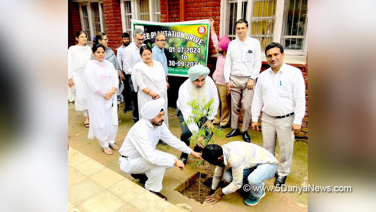 Judiciary, Tree Plantation, Forest Plantation, Plantation forestry, Tree Planting, Tree Plantation Drive, Plants Sapling, Tree Plantation Drive 2024, Moga