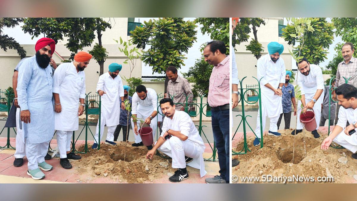 Gurmeet Singh Meet Hayer, Meet Hayer, AAP, Aam Aadmi Party, Aam Aadmi Party Punjab, AAP Punjab, Tree Plantation, Forest Plantation, Plantation forestry, Tree Planting, Tree Plantation Drive, Plants Sapling, Tree Plantation Drive 2024