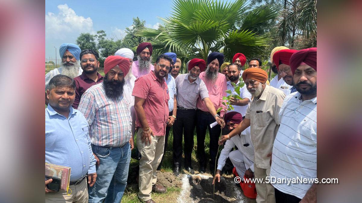 Aap Di Sarkar Aap De Dwaar, Aap Di Sarkar Aap De Dwar, Aap Di Sarkar Aap De Dwaar Scheme, Aap Di Sarkar Aap De Dwaar Scheme In Punjab, Government of Punjab, Punjab Government,Tree Plantation, Forest Plantation, Plantation forestry, Tree Planting, Tree Plantation Drive, Plants Sapling, Tree Plantation Drive 2024