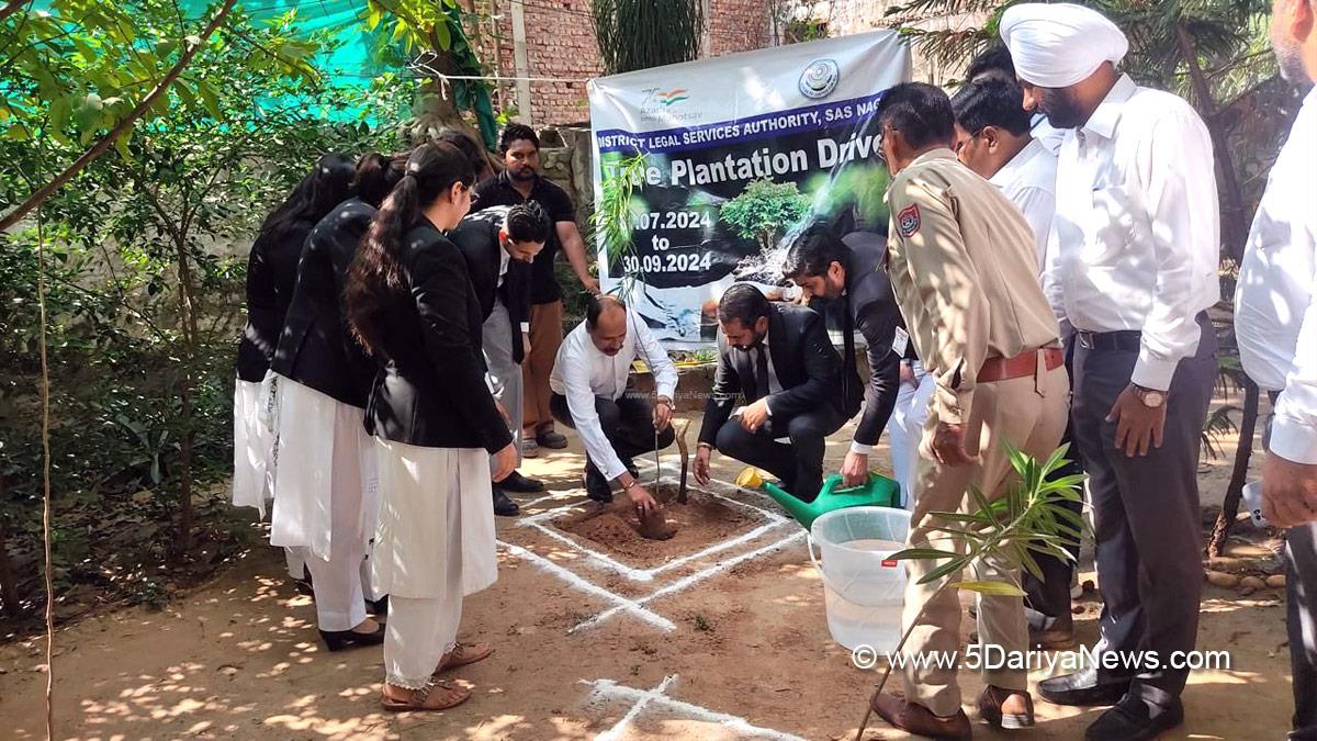 Tree Plantation, Forest Plantation, Plantation forestry, Tree Planting, Tree Plantation Drive, Plants Sapling, Tree Plantation Drive 2024, Sub Divisional Court Complex Kharar, Van Mahotsav, Atul Kasana, Kharar, Kharar News, News of Kharar, Kharar Updates
