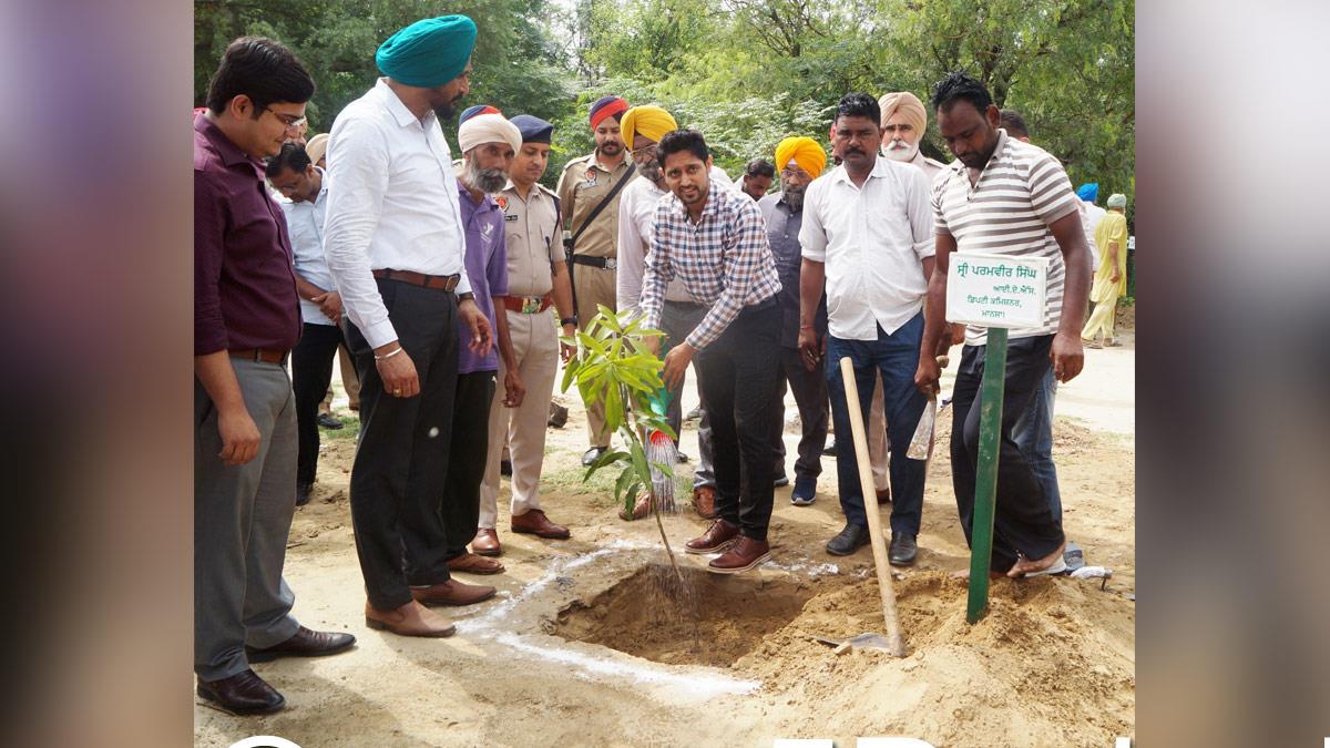 Paramvir Singh, DC Mansa, Deputy Commissioner Mansa,Tree Plantation,Forest Plantation,Plantation forestry,Tree Planting,Tree Plantation Drive,Plants Sapling,Tree Plantation Drive 2024