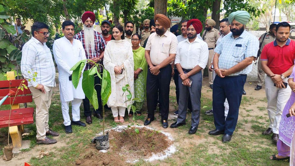 Kulwant Singh, DC Moga, Deputy Commissioner Moga, Moga, Amandeep Kaur Arora, Dr. Amandeep Kaur Arora, Moga, AAP, Aam Aadmi Party, Aam Aadmi Party Punjab, AAP Punjab, Tree Plantation,Forest Plantation,Plantation forestry,Tree Planting,Tree Plantation Drive,Plants Sapling,Tree Plantation Drive 2024