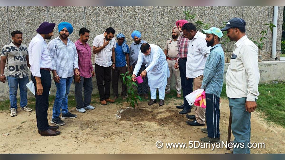 Ashok Parashar Pappi, AAP, Aam Aadmi Party, Aam Aadmi Party Punjab, AAP Punjab, Tree Plantation,Forest Plantation,Plantation forestry,Tree Planting,Tree Plantation Drive,Plants Sapling,Tree Plantation Drive 2024