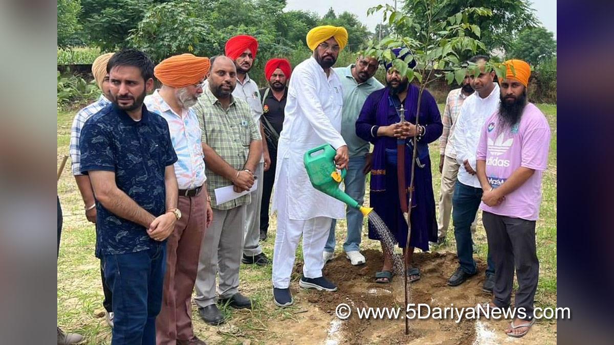 Kuldeep Singh Dhaliwal, AAP, Aam Aadmi Party, Aam Aadmi Party Punjab, AAP Punjab, Government of Punjab, Punjab Government, Tree Plantation,Forest Plantation,Plantation forestry,Tree Planting,Tree Plantation Drive,Plants Sapling,Tree Plantation Drive 2024