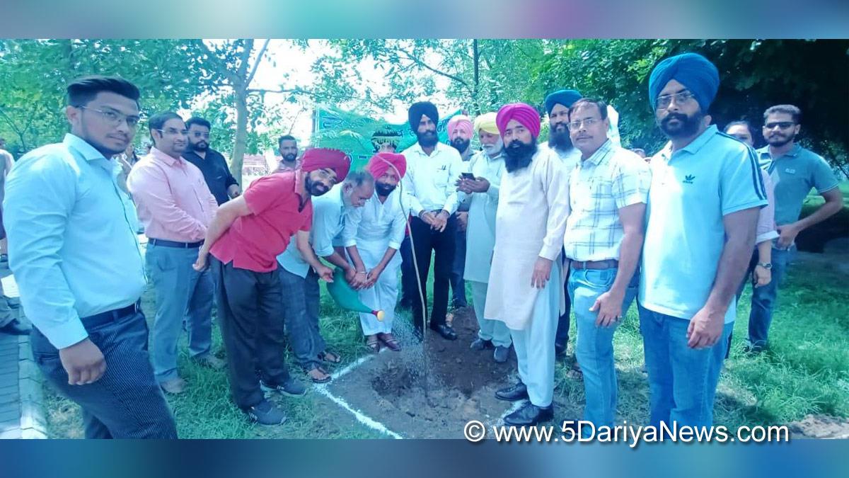 Tree Plantation,Forest Plantation,Plantation forestry,Tree Planting,Tree Plantation Drive,Plants Sapling,Tree Plantation Drive 2024, Rupnagar