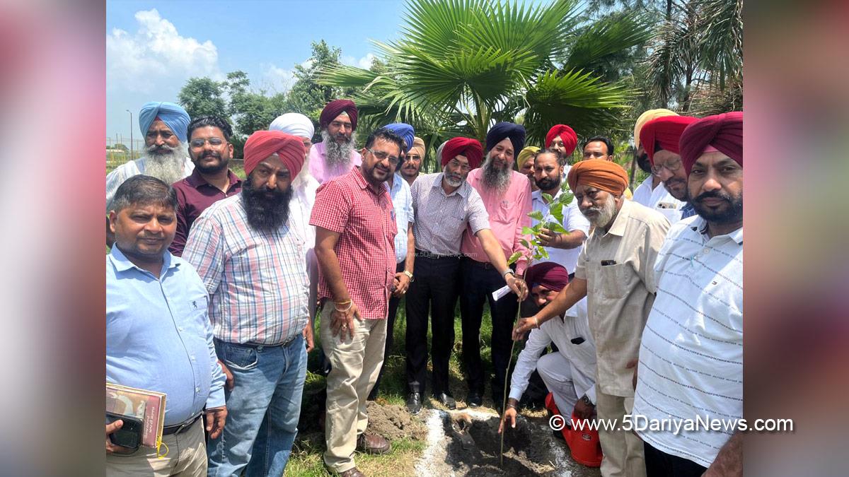 Aap Di Sarkar Aap De Dwaar, Aap Di Sarkar Aap De Dwar, Aap Di Sarkar Aap De Dwaar Scheme, Aap Di Sarkar Aap De Dwaar Scheme In Punjab, Government of Punjab, Punjab Government,Tree Plantation, Forest Plantation, Plantation forestry, Tree Planting, Tree Plantation Drive, Plants Sapling, Tree Plantation Drive 2024