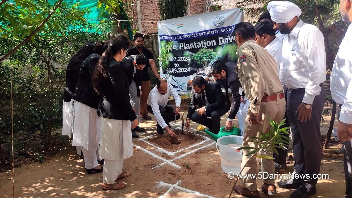 Tree Plantation, Forest Plantation, Plantation forestry, Tree Planting, Tree Plantation Drive, Plants Sapling, Tree Plantation Drive 2024, Sub Divisional Court Complex Kharar, Van Mahotsav, Atul Kasana, Kharar, Kharar News, News of Kharar, Kharar Updates