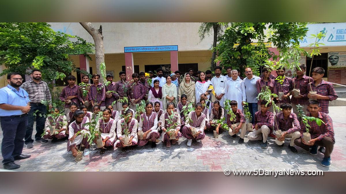 Tree Plantation, Forest Plantation, Plantation forestry, Tree Planting, Tree Plantation Drive, Plants Sapling, Tree Plantation Drive 2024, Fazilka