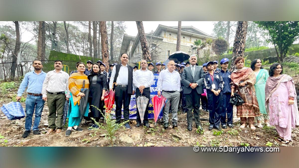 Tree Plantation, Forest Plantation, Plantation forestry, Tree Planting, Tree Plantation Drive, Plants Sapling, Tree Plantation Drive 2024, Dharmshala