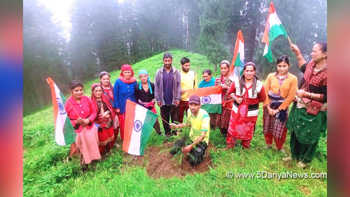 Independence Day,15 August,78th Independence Day,Independence Day of India,Tringa,Har Ghar Tringa,Tree Plantation, Forest Plantation, Plantation forestry, Tree Planting, Tree Plantation Drive, Plants Sapling, Tree Plantation Drive 2024, Shimla, Himachal Pradesh