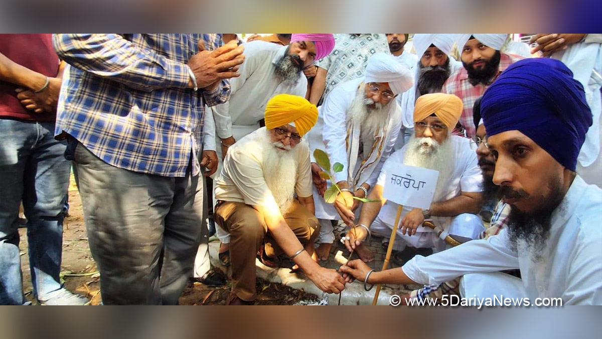 Dr. Inderbir Singh Nijjar, Inderbir Singh Nijjar, AAP, Aam Aadmi Party, Aam Aadmi Party Punjab, AAP Punjab, Tree Plantation, Forest Plantation, Plantation forestry, Tree Planting, Tree Plantation Drive, Plants Sapling, Tree Plantation Drive 2024