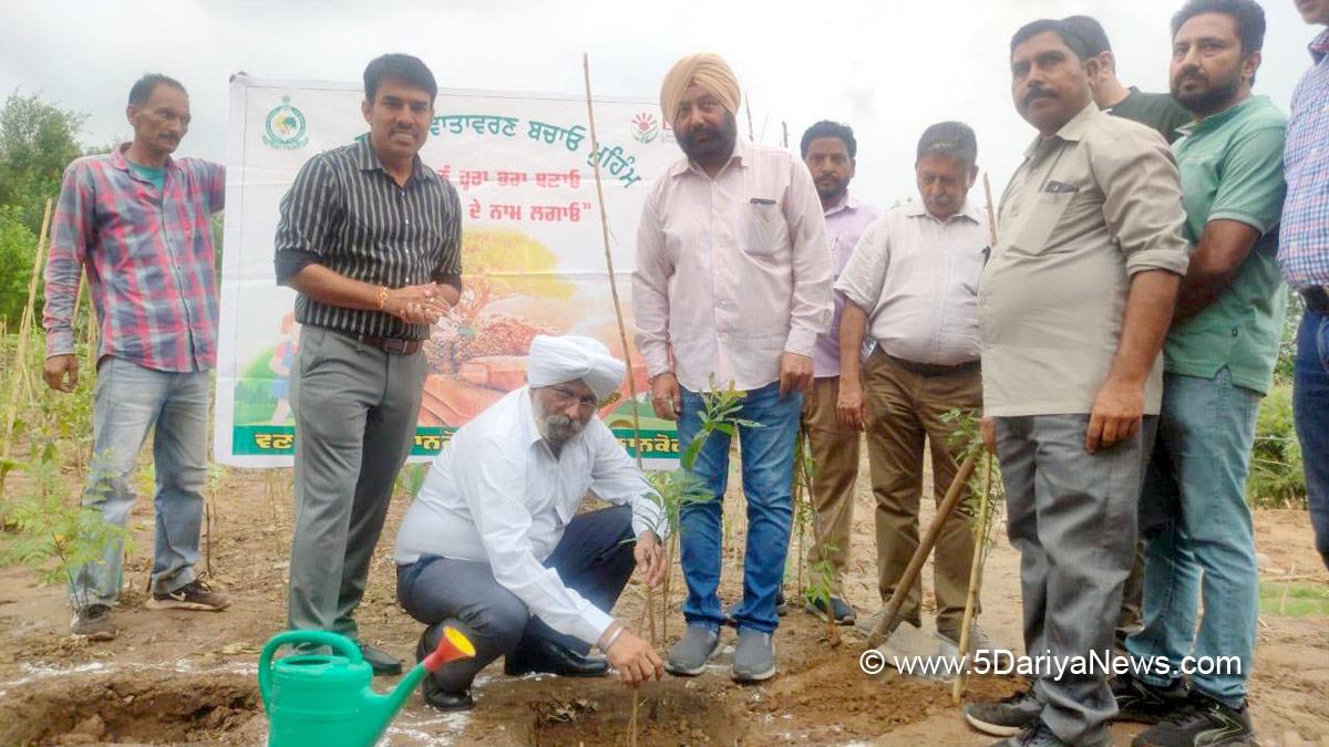 Tree Plantation, Forest Plantation, Plantation forestry, Tree Planting, Tree Plantation Drive, Plants Sapling, Tree Plantation Drive 2024, Pathankot