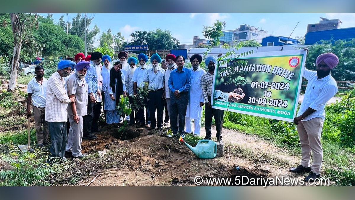 Tree Plantation,Forest Plantation,Plantation forestry,Tree Planting,Tree Plantation Drive,Plants Sapling,Tree Plantation Drive 2024