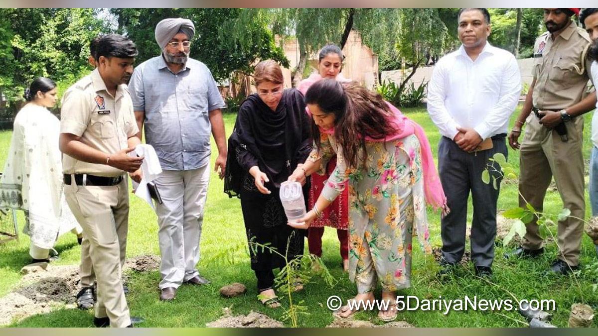 Senu Duggal, DC Fazilka, Fazilka, Deputy Commissioner Fazilka, Tree Plantation,Forest Plantation,Plantation forestry,Tree Planting,Tree Plantation 