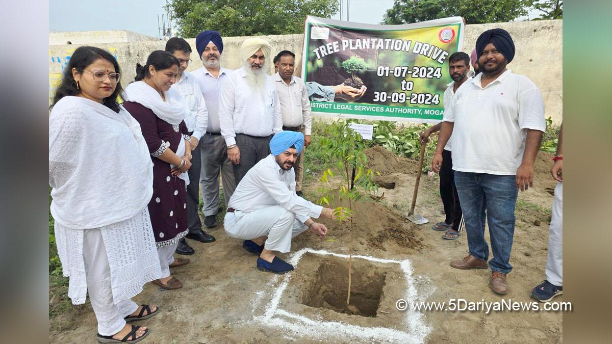 Judiciary, Tree Plantation, Forest Plantation, Plantation forestry, Tree Planting, Tree Plantation Drive, Plants Sapling, Tree Plantation Drive 2024, Moga