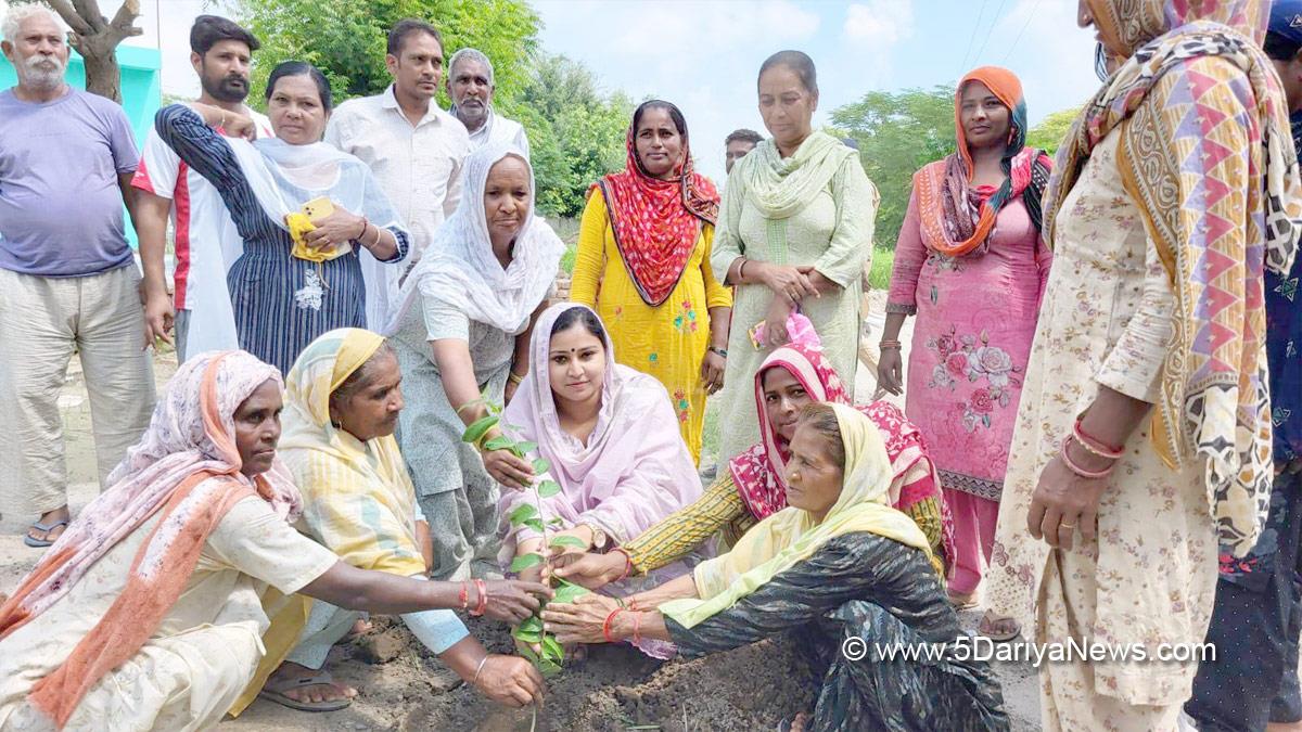 Tree Plantation, Forest Plantation, Plantation forestry, Tree Planting, Tree Plantation Drive, Plants Sapling, Tree Plantation Drive 2024, Fazilka